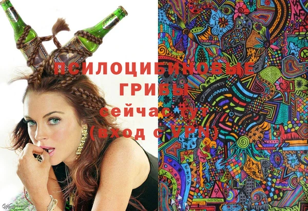 прущая мука Армянск